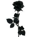 Floristik24 Rose Silke Blomst Svart 63cm